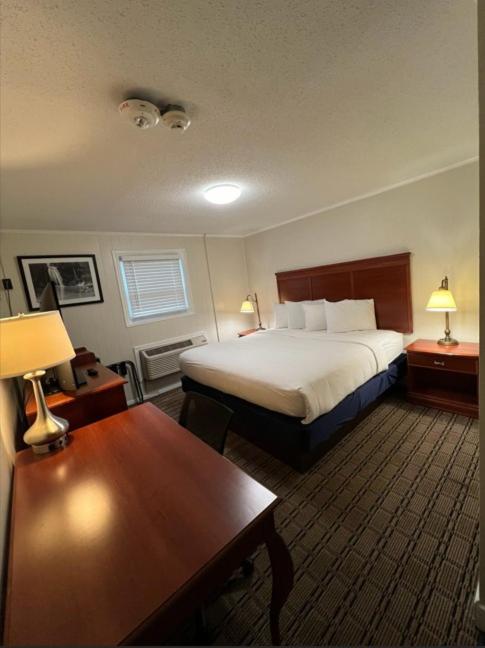 Standard King Room interior